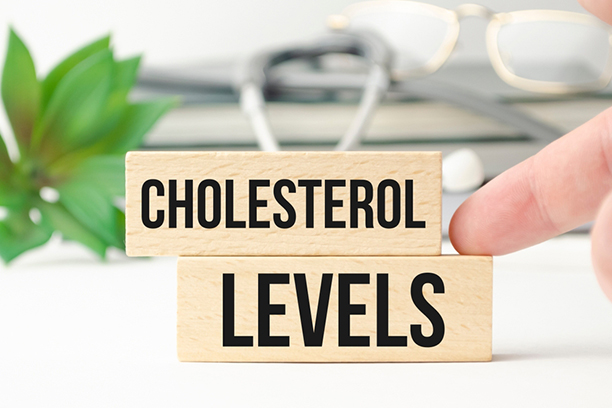 Role of Cholesterol in Heart Health